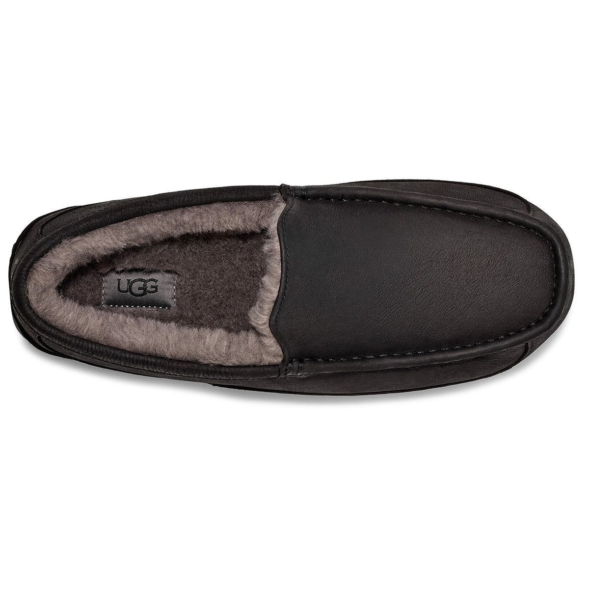 UGG Ascot Matte Leather