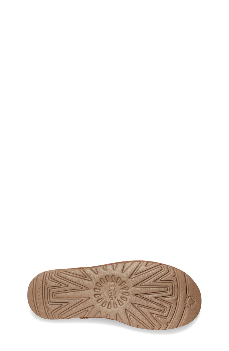 Chestnut