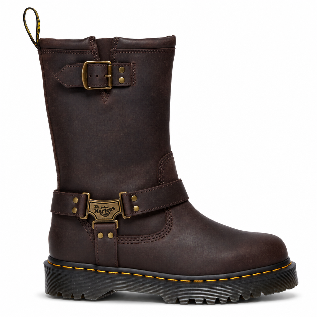 Dr. Martens Anistone Hi Biker Boots Womens