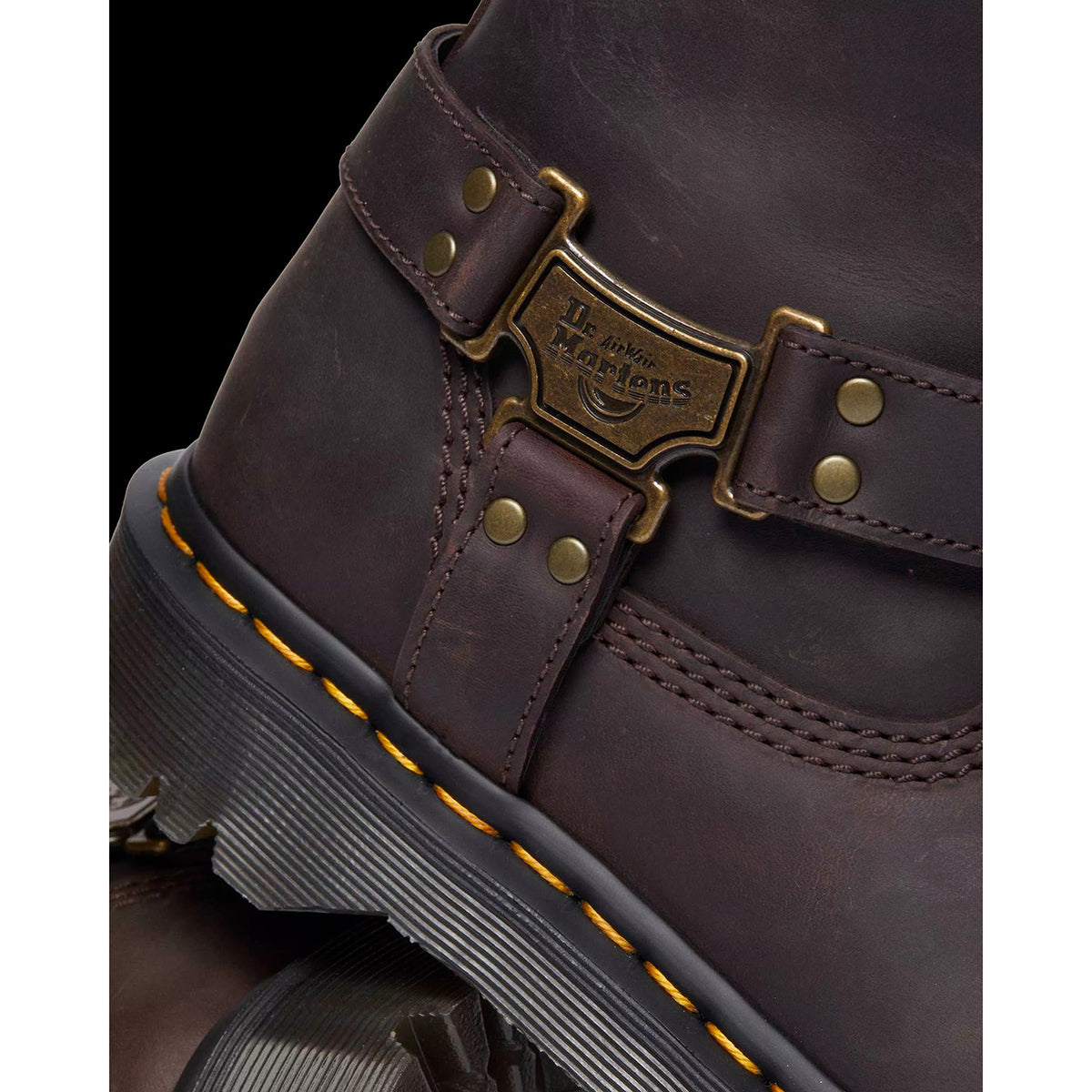 Dr. Martens Anistone Hi Biker Boots Womens