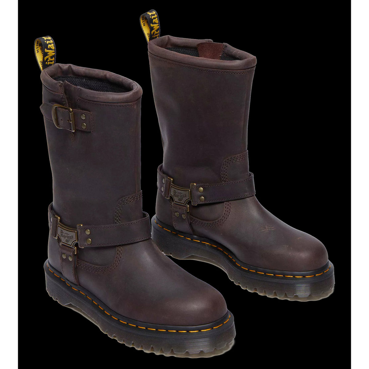 Dr. Martens Anistone Hi Biker Boots Womens