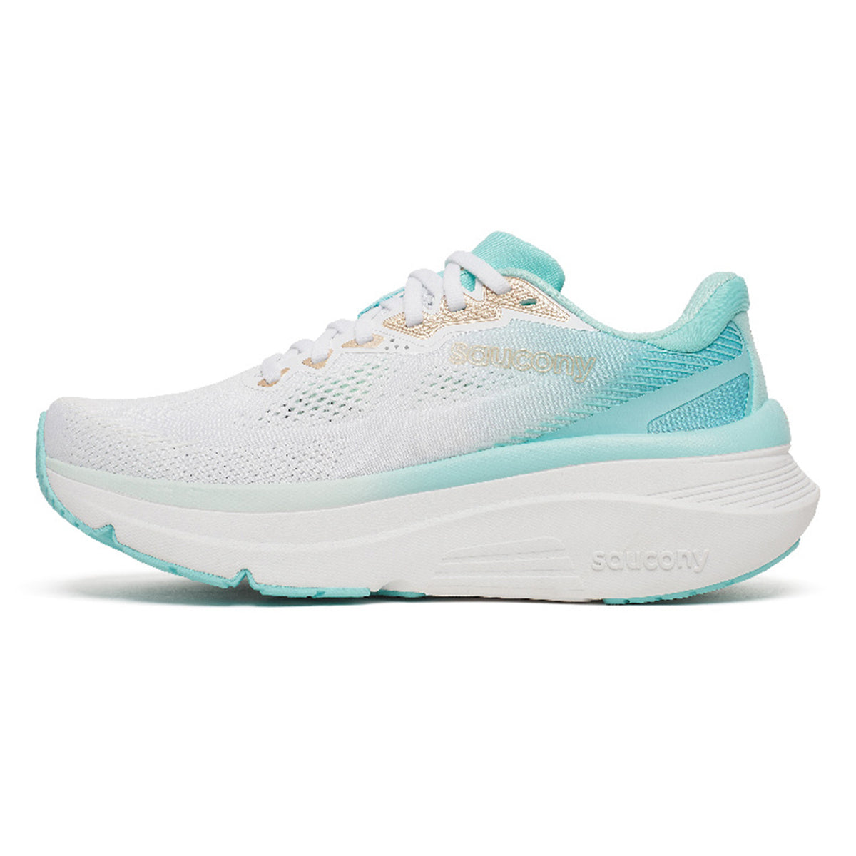 Saucony Ride 19 Womens