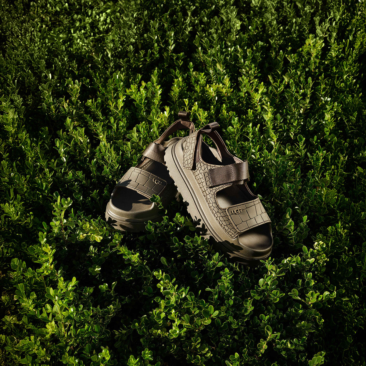 UGG Goldenglow Embossed Womens